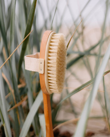Croll & Denecke Wooden Body Brush with Handle