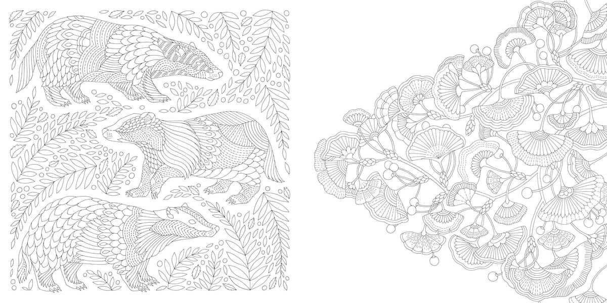 Millie Marotta's Woodland Wild - a Colouring Book Adventure