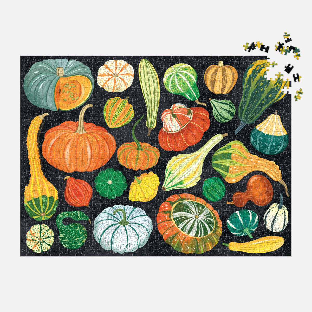 World of Pumpkins 1000 Piece Jigsaw Puzzle