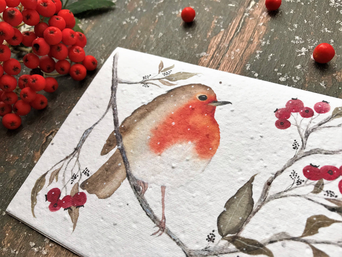 Morning Robin - Plantable Seeded Christmas Card