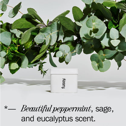 Fussy Natural Deodorant Refill - Wavy Days