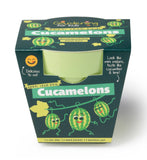 Children's Grow Your Own Cucamelons Growing Kit