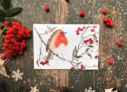 Morning Robin - Plantable Seeded Christmas Card