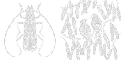 Millie Marotta's Woodland Wild - a Colouring Book Adventure