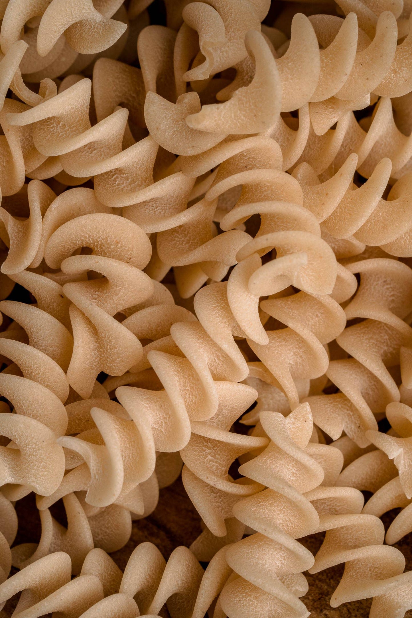 Fusilli Pasta - Northern Pasta Co.