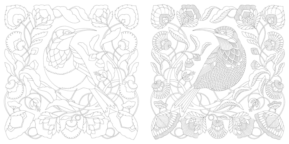 Millie Marotta's Woodland Wild - a Colouring Book Adventure