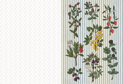 The Collage Compendium - 2,000 Images to Cut Out & Collage