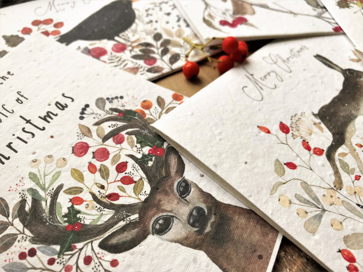 Morning Robin - Plantable Seeded Christmas Card