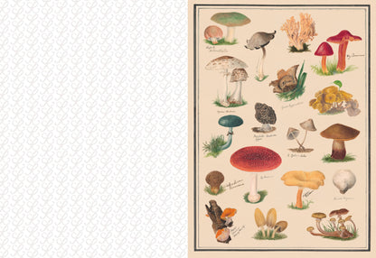 The Collage Compendium - 2,000 Images to Cut Out & Collage