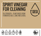 Cleaning Vinegar SESI