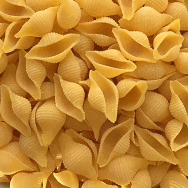 Organic Gluten Free Conchiglie Pasta Shells