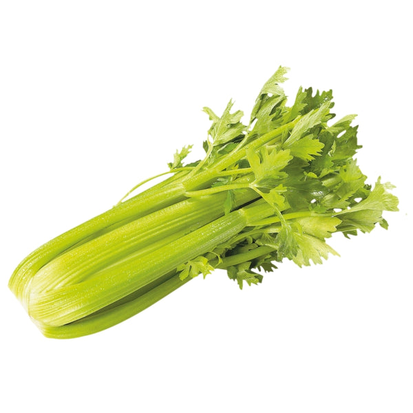 Celery Bunch - Each - SW Coast Refills 