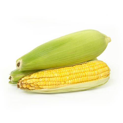 Sweetcorn  - Each - SW Coast Refills 
