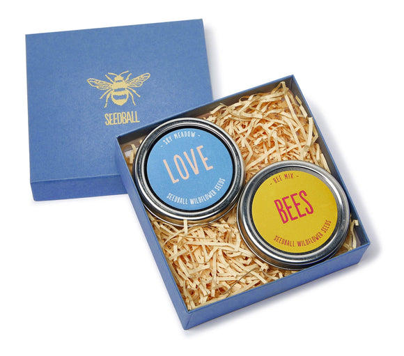 Beautiful gold embossed bee themed blue gift box containing two Bee Lover mixed wildflower seed bomb mix tins.