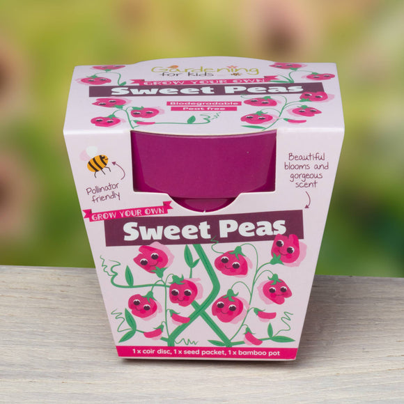 Children's Grow Your Own Sweet Pea Growing Kit