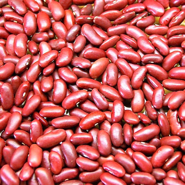 Organic Red Kidney Beans - 100g - SW Coast Refills 