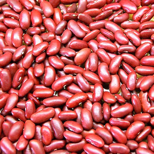 Organic Red Kidney Beans - 100g - SW Coast Refills 