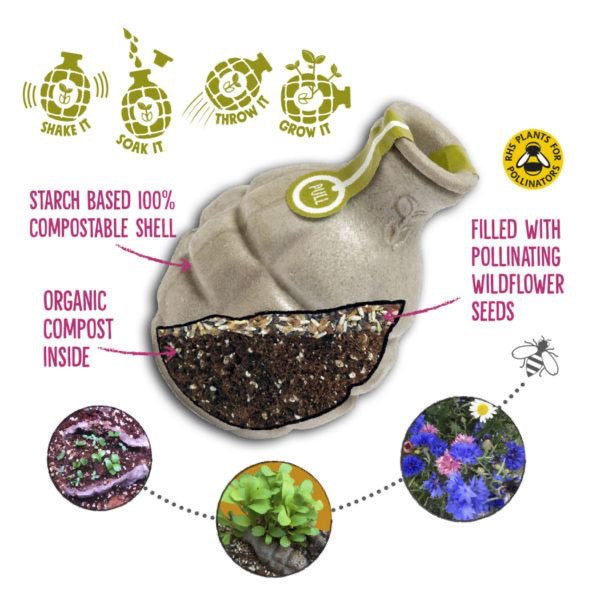 POLLINATOR Seedbom - SW Coast Refills 
