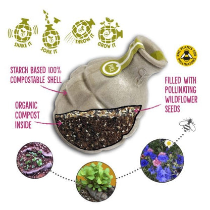 POLLINATOR Seedbom - SW Coast Refills 