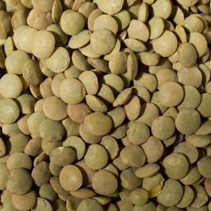 Green Lentils - 100g - SW Coast Refills 