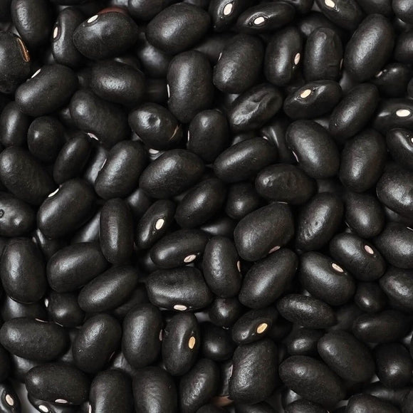 Organic Black Turtle Beans - 100g - SW Coast Refills 