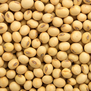 Soya Beans Organic - 100g - SW Coast Refills 