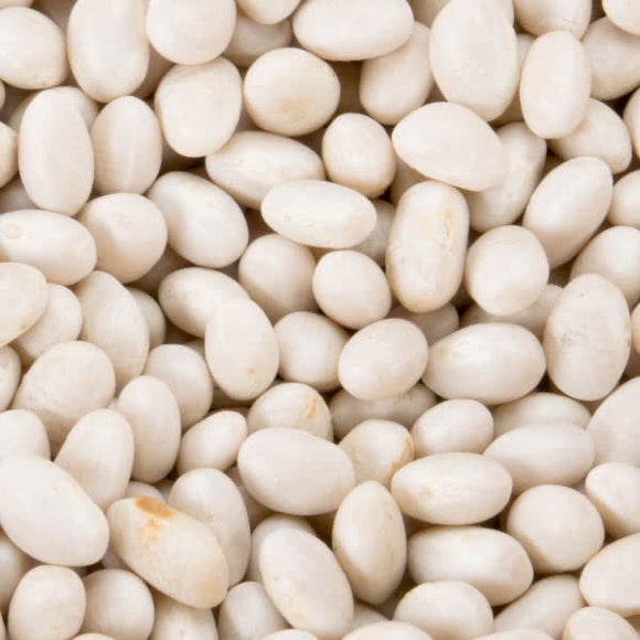 Organic Haricot Beans (White Kidney) - 100g - SW Coast Refills 