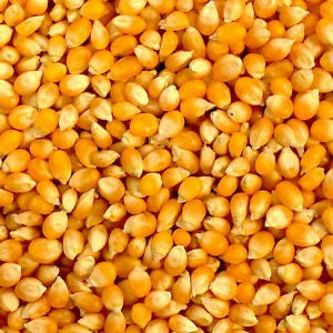 Popping corn - 100g - SW Coast Refills 