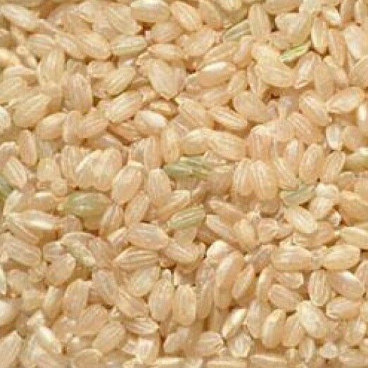 Brown Short Grain Rice - 100g - SW Coast Refills 