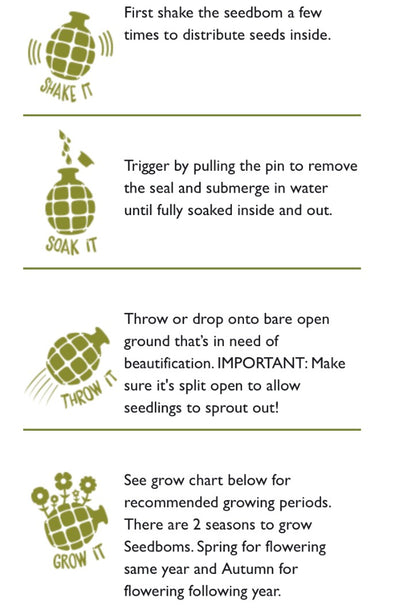 POLLINATOR Seedbom - SW Coast Refills 