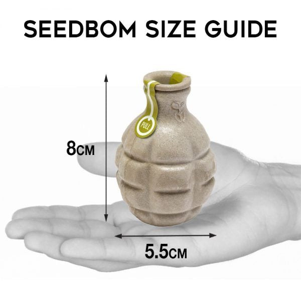 POLLINATOR Seedbom - SW Coast Refills 