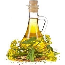Cotswold EV Cold Pressed Organic Rapeseed Oil - 100g refill - SW Coast Refills 