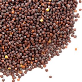 Mustard Seed - 100g - SW Coast Refills 