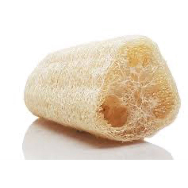 Natural Loofah, Vegan And Organic Sponge, Natural Exfoliator - SW Coast Refills 