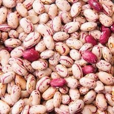 Organic Borlotti Beans (Pinto Beans) - 100g - SW Coast Refills 