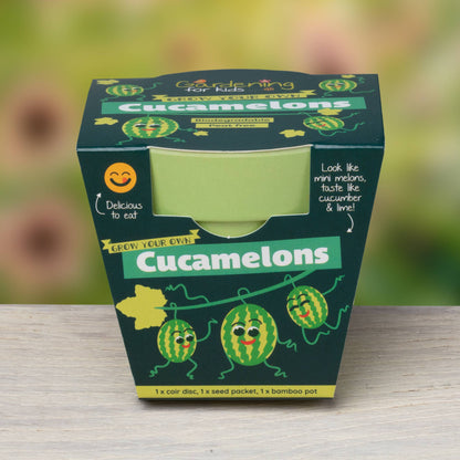 Children's Grow Your Own Cucamelons Growing Kit