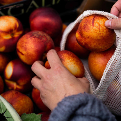 Organic Mesh Cotton Produce Bag (Small) - SW Coast Refills 