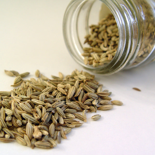 Fennel Seed - 100g - SW Coast Refills 