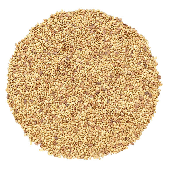 Essential Sprouting Alfalfa Seeds - Organic - 125g - SW Coast Refills 