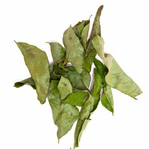 CURRY LEAVES - 100g - SW Coast Refills 