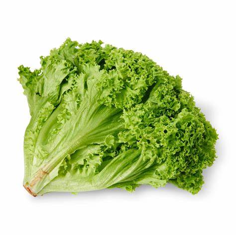 Seasonal Large Lettuce - Each - SW Coast Refills 