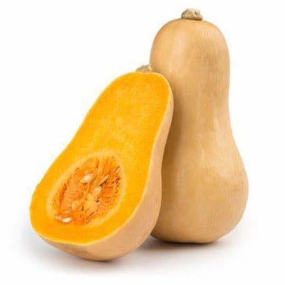 Butternut Squash - Each - SW Coast Refills 