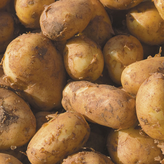 Cornish New Potatoes - 100g - SW Coast Refills 