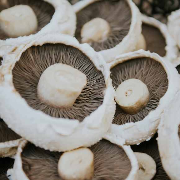 Large Flat Field Mushrooms - each - SW Coast Refills 