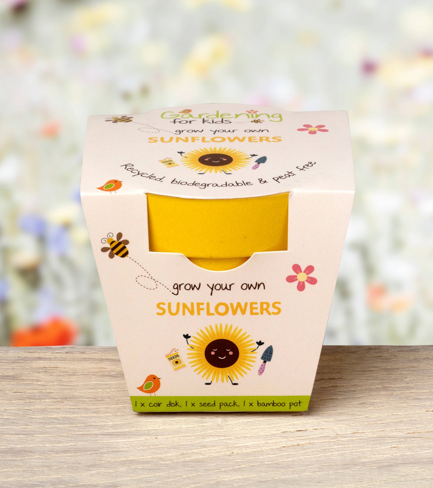 Children's Grow Your Own Sunflowers Growing Kit