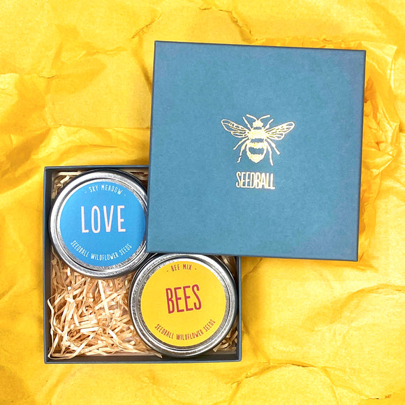 Love Bees Seedball Tin Gift Set