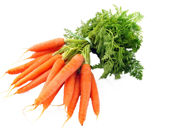 Bunched Carrots with Tops - 500g | Loose Vegetables | Groceries | SW Coast Refills