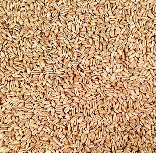 Oat Groats - 500g Plastic Free at SW Coast