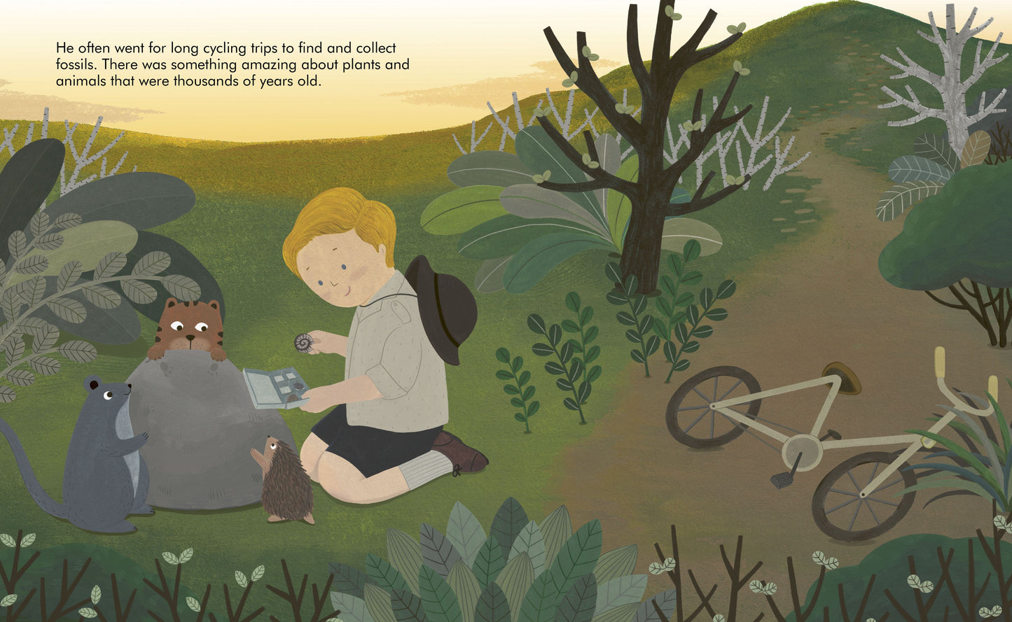 Little People Big Dreams : David Attenborough