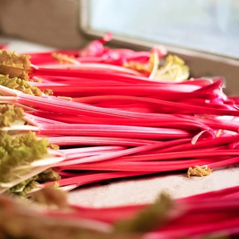 Forced Yorkshire Rhubarb 400g